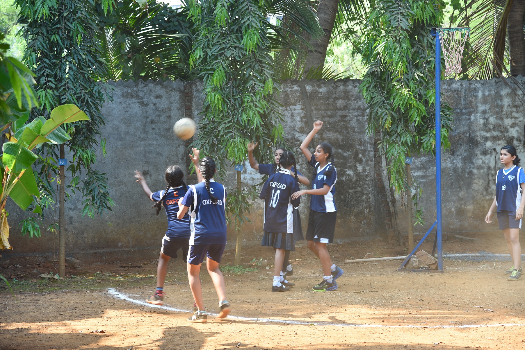 Netball